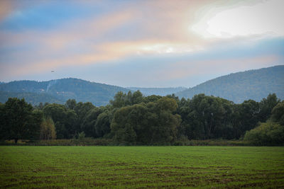 Scenic view of field against sky