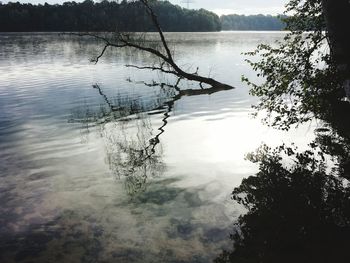 Reflection of tree in lake against sky