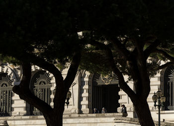 People walking by tree against buildings in city