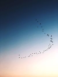 Low angle view of birds flying in sky