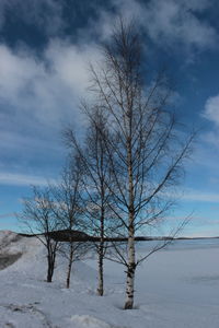 Bare trees on landscape against cloudy sky