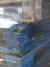 Close-up of turtle in water