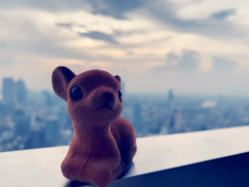 Close-up of a dog looking at city against cloudy sky