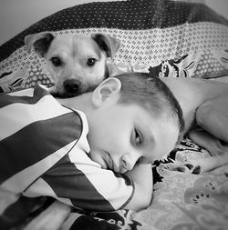 Portrait of cute dog relaxing on bed at home