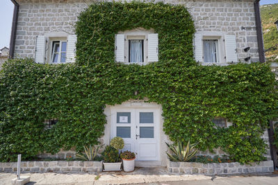 architecture