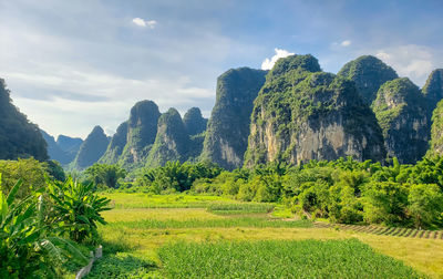 Yellow huangshan mountains by river in china