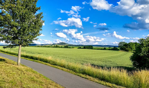 Scenic view of field against sky