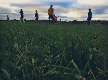 grass