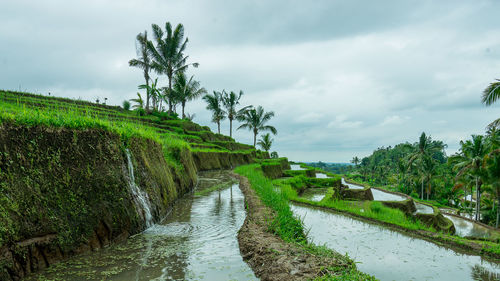 Panoramic view of canal amidst trees on field against sky