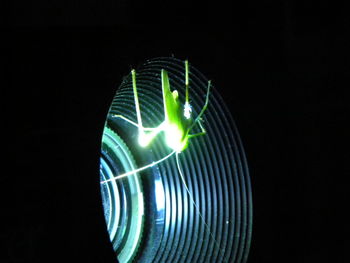 Low angle view of illuminated lighting equipment against black background