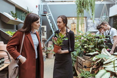 Male and female owners showing potted plants to customers at store