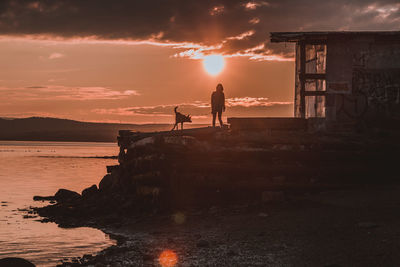 Silhouette dog on beach against sky during sunset