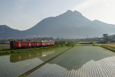 Mt. yufu, rice paddy and kiha 220 local train in the morning