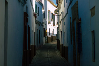 Narrow alley amidst buildings