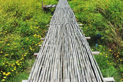 High angle view of footpath amidst trees in park