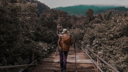 Rear view of woman walking on boardwalk amidst trees