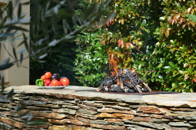 Vegetables in plate by bonfire on retaining wall against trees