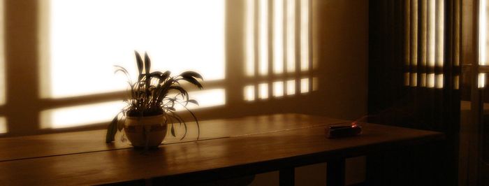 Flower vase on window sill at home