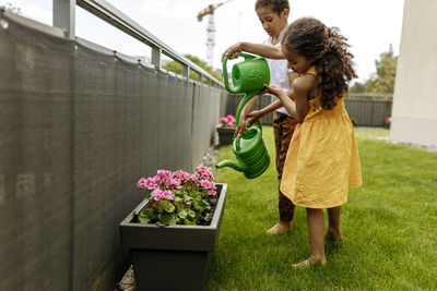 Girl with boy watering potted plant with green can in garden
