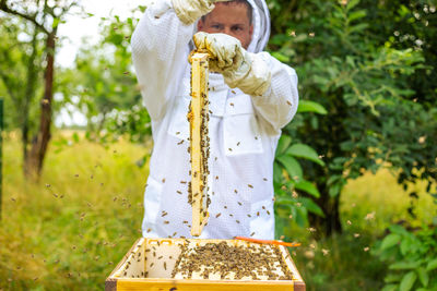 Midsection of woman holding plant