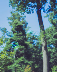 Low angle view of bubbles against trees