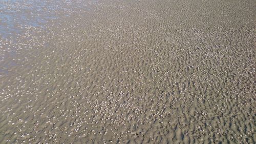 Full frame shot of wet sand