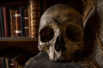 Close-up of human skull against bookshelf