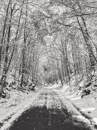 Snow covered road in forest