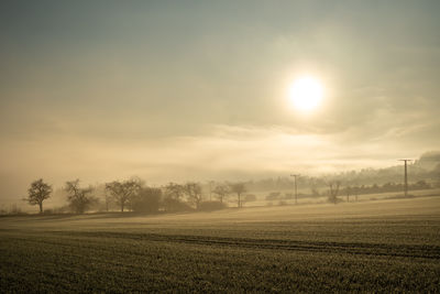 Scenic view of field against sky during sunset