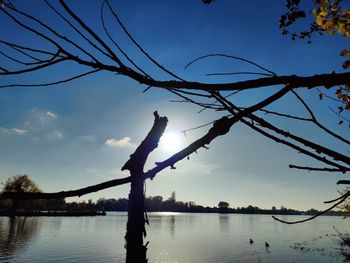 Silhouette tree by lake against sky during sunset