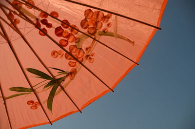 Low angle view of plant against clear sky