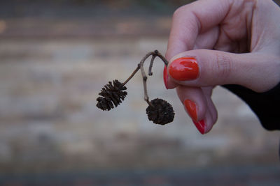 Midsection of woman holding red berries