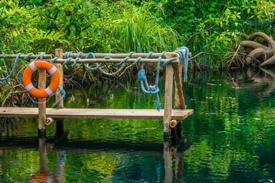 View of bird by lake