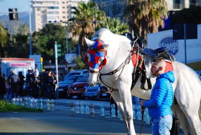 People riding motorcycle on street in city