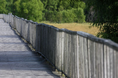 Close-up of footbridge against trees