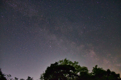 Low angle view of silhouette trees against star field at night