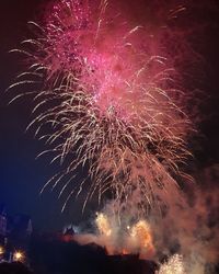 Firework display at night