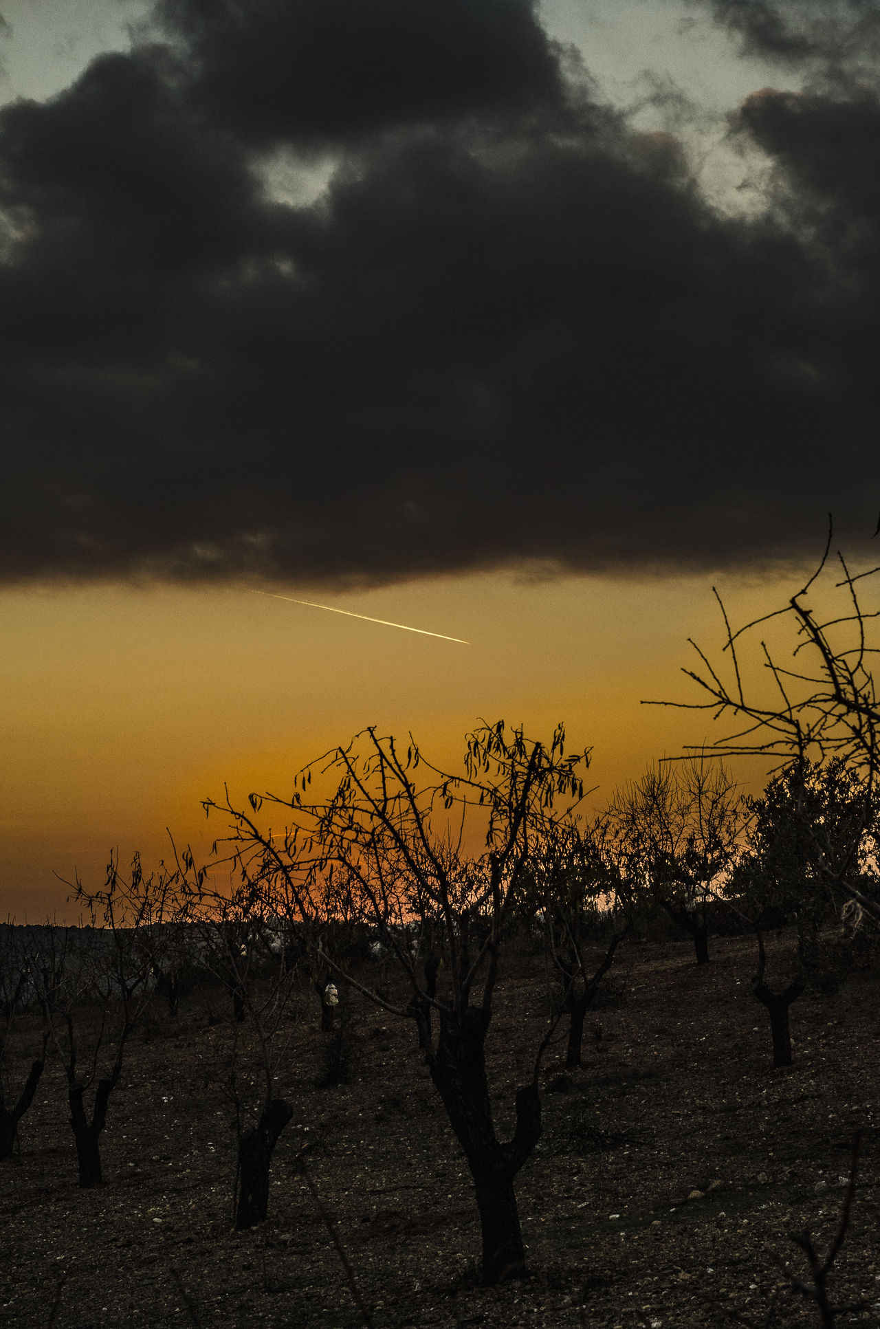 Jet Trail at Night