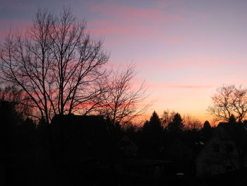 Silhouette of trees at sunset