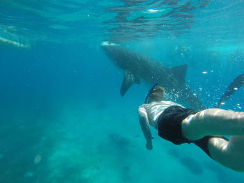 Man snorkeling in sea