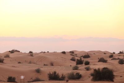 Scenic view of landscape against sky during sunset