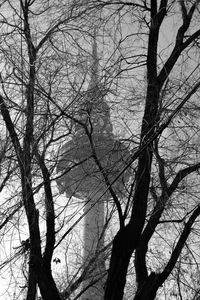 Low angle view of bare tree against sky