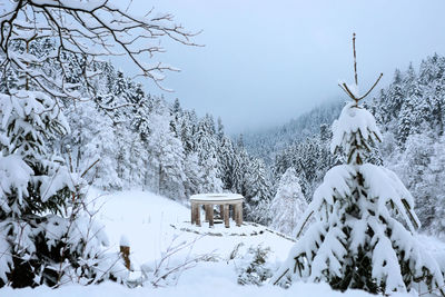 Snow covered trees against sky