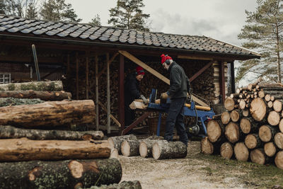Couple chopping wood