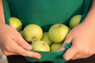 Close-up of hand holding apples