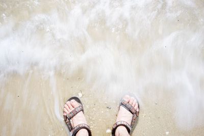 Low section of man standing on beach