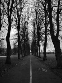 Empty road amidst bare trees