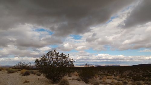 Scenic view of landscape against cloudy sky