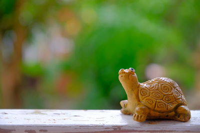 Close-up of an animal representation on table