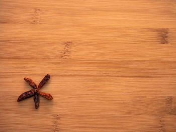 High angle view of crab on wooden table
